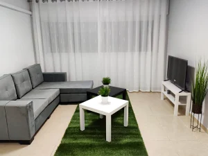 סלון בנכס הביכורים. ספה אפורה בהירה שני שולחנות מרובעים קטנים בשחור ולבן על שטיח דשא סינטטי. ממול טלוויזיה על שידה לבנה ולצידה עציץ קטן.